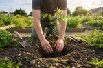Green resolution : réussir sa transition écologique